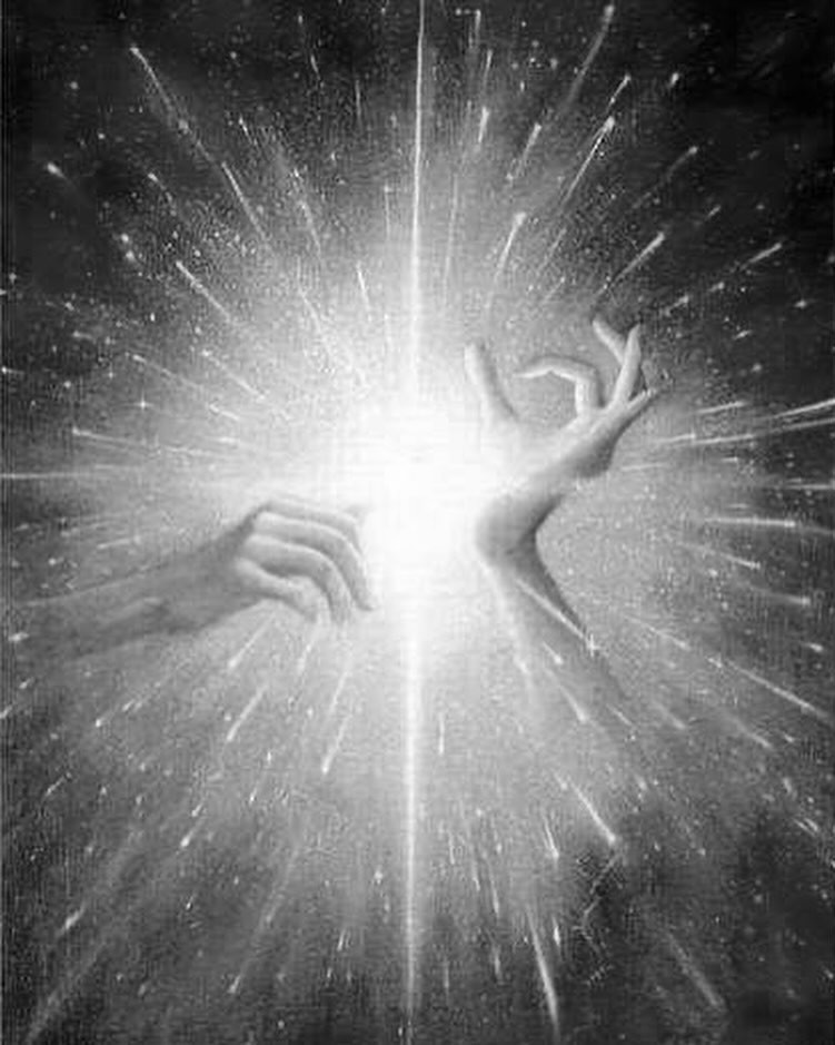 Fermentées et germées pour (vraiment) améliorer votre santé